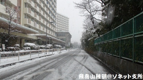 今日の大雪で、路面も真っ白に…＠都内某所。