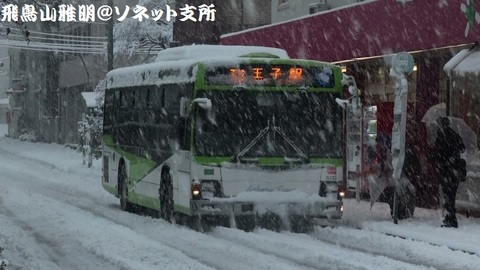 国際興業バス 5132（池袋営業所所属車）＠中央公園。ドカ雪の中での撮影でした…。