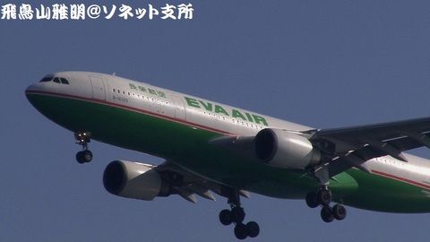 エバー航空 B-16305＠東京国際空港（浮島町公園より）。機体前方のアップ。