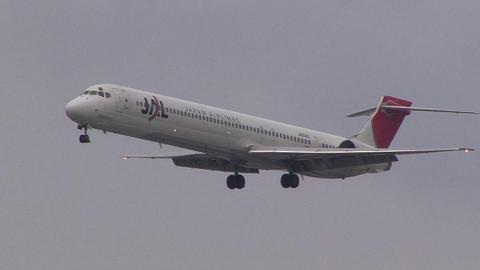 日本航空　JA004D