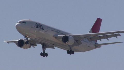 日本航空　JA016D