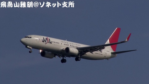 日本航空 JA301J＠東京国際空港。浮島町公園より。