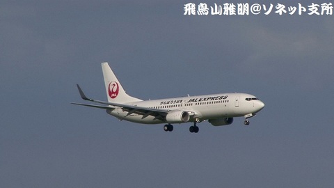 日本航空 - JALエクスプレス JA338J＠東京国際空港。京浜島つばさ公園より。