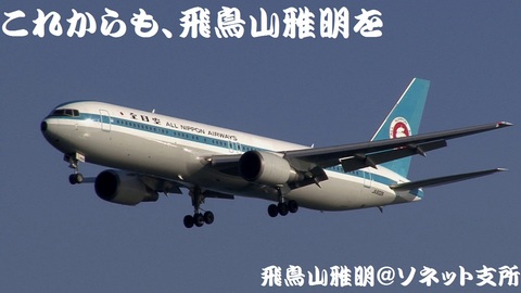 全日本空輸 JA602A＠東京国際空港（浮島町公園より）。「青空＋モヒカンジェット」……ホント、いいッスね！