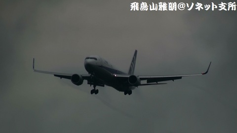 全日本空輸 - エアージャパン JA621A＠雨天下の成田国際空港。RWY34Lエンドより。