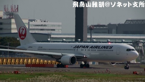 JA654J＠成田国際空港 (右舷側)