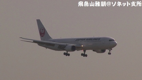 日本航空 JA655J＠東京国際空港（強風下の京浜島つばさ公園より）。RWY22へのファイナルアプローチ。
