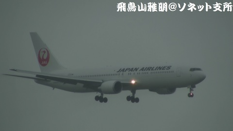 日本航空 JA657J＠雨天下の東京国際空港。京浜島つばさ公園より。