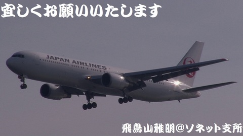 日本航空 JA657J＠東京国際空港（浮島町公園より）。2012年最初の出撃で、最初に撮影した旅客機です。
