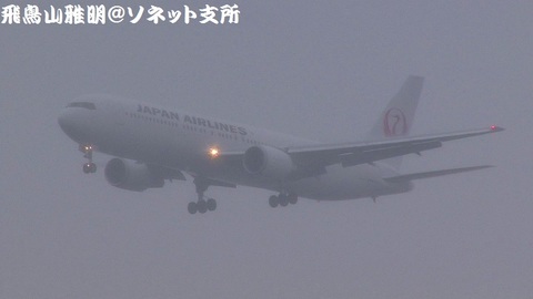 日本航空 JA658J＠東京国際空港（雨天下の浮島町公園より）。それにしても、見通し悪すぎ…。