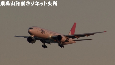 日本航空 JA701J＠東京国際空港。浮島町公園より。