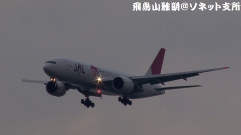 日本航空 JA702J＠東京国際空港（浮島町公園より）。RWY34Lへのファイナルアプローチ。