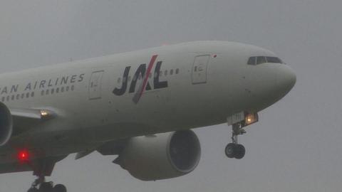日本航空　JA711J