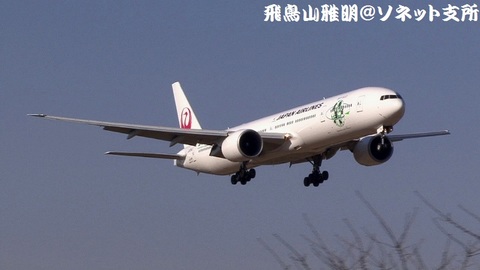 日本航空 JA734J『Sky Eco』＠成田国際空港（さくらの山公園より）。RWY16Rへのファイナルアプローチ。