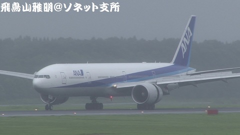 全日本空輸 JA780A＠成田国際空港。Bラン展望台より。