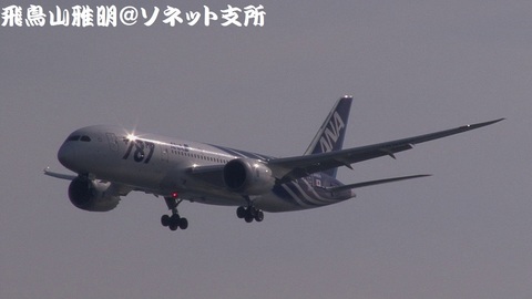 全日本空輸 JA801A＠東京国際空港。浮島町公園より。