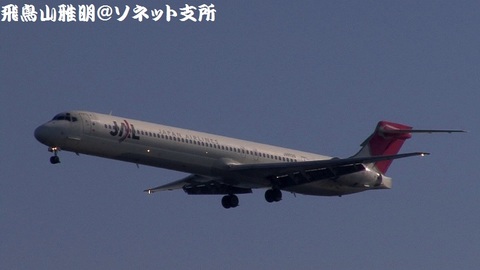 日本航空 JA8029＠東京国際空港（浮島町公園より）。RWY34Lへのファイナルアプローチ。