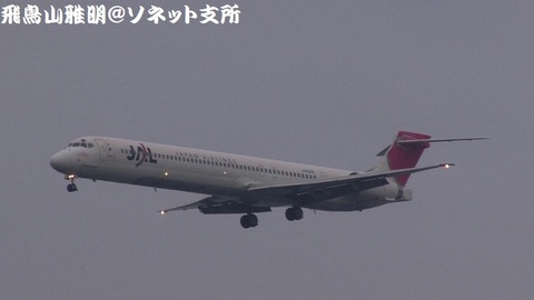日本航空 JA8029＠東京国際空港（浮島町公園より）。RWY34Lへのファイナルアプローチ。本日が運航最終日。