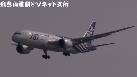 全日本空輸 JA802A＠東京国際空港。浮島町公園より。