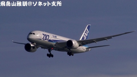 全日本空輸 JA803A＠東京国際空港（浮島町公園より）。RWY34Lへのファイナルアプローチ。