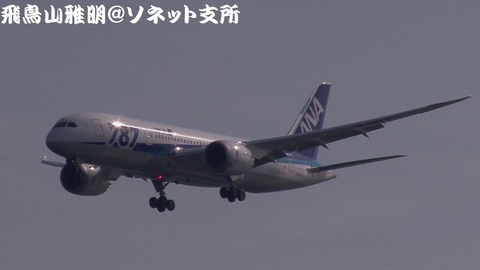 全日本空輸 JA804A＠東京国際空港。浮島町公園より。