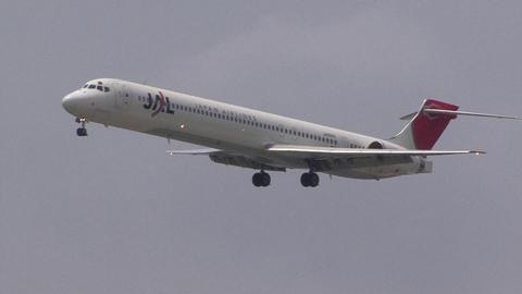 日本航空　JA8065