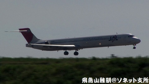 日本航空 JA8066＠東京国際空港（京浜島つばさ公園より）。もうまもなくRWY22に着陸…。