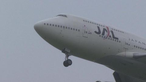日本航空　JA8071＠成田国際空港