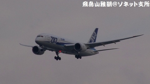 全日本空輸 JA807A＠東京国際空港（浮島町公園より）。RWY34Lへのファイナルアプローチ。
