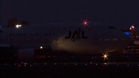 日本航空　JA8081＠夜の成田