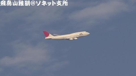 日本航空　JA8084＠東京国際空港
