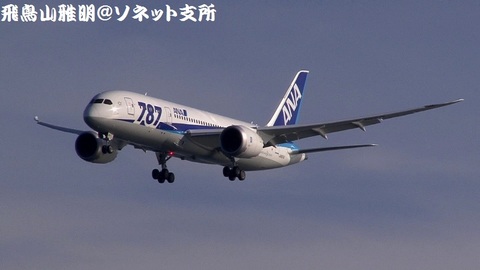 全日本空輸 JA817A＠東京国際空港（浮島町公園より）。RWY34Lへのファイナルアプローチ。
