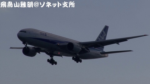 全日本空輸 JA8197＠東京国際空港。浮島町公園より。