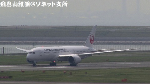 日本航空 JA822J＠東京国際空港（第2旅客ターミナル展望デッキより）。離陸滑走のキャプチャ。