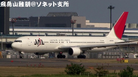 日本航空 JA8264＠成田国際空港。さくらの山公園より。