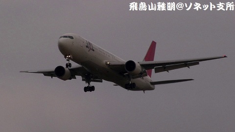 日本航空 JA8264＠成田国際空港（RWY34Lエンドより）。RWY34Lへのファイナルアプローチ。