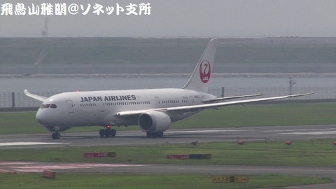 日本航空 JA826J＠東京国際空港（第2旅客ターミナル展望デッキより）。RWY34Rからの離陸シーン。