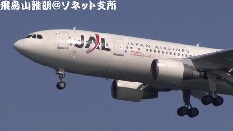 JA8375＠東京国際空港 (機体前部のアップ)