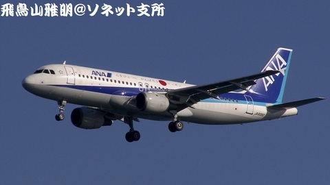 全日本空輸 JA8392＠東京国際空港。浮島町公園より。
