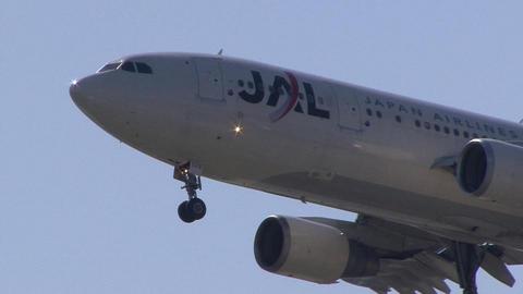 日本航空　JA8529