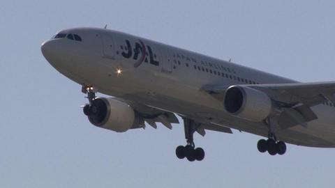日本航空　JA8562