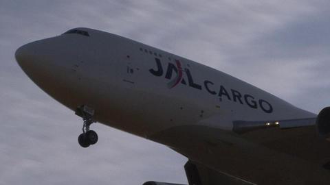日本航空 (JALカーゴ)　JA8906