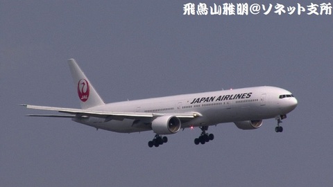 日本航空 JA8942＠東京国際空港。強風下の京浜島つばさ公園より。