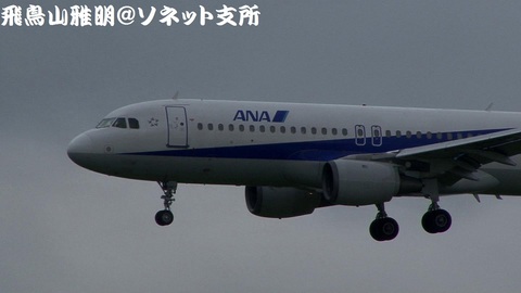 全日本空輸 JA8947＠大阪国際空港。伊丹スカイパークより。