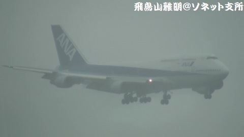 全日本空輸 JA8965＠雨天下の東京国際空港（京浜島つばさ公園より）。視界悪し…。