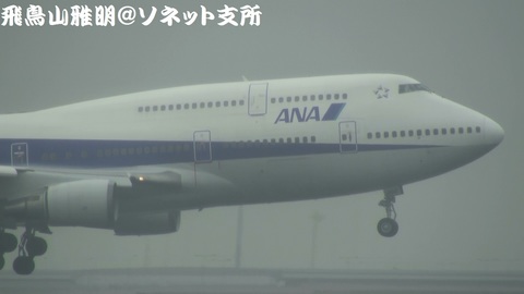 全日本空輸 JA8966＠雨天下の東京国際空港。京浜島つばさ公園より。