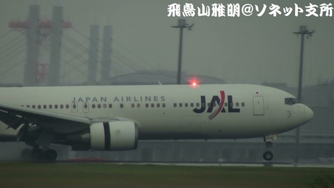 日本航空 JA8975＠雨天下の東京国際空港。京浜島つばさ公園より。