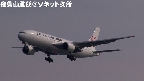 日本航空 JA8983＠東京国際空港（浮島町公園より）。ついに、新鶴丸になったのね…。