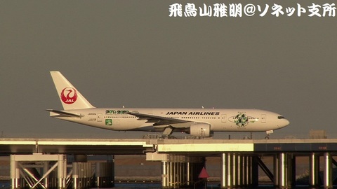 日本航空 JA8984＠東京国際空港（浮島町公園より）。RWY05に向けてタキシング中。
