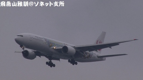 日本航空 JA8985『JALハピネスエクスプレス』＠東京国際空港（浮島町公園より）。RWY34Lへのファイナルアプローチ。